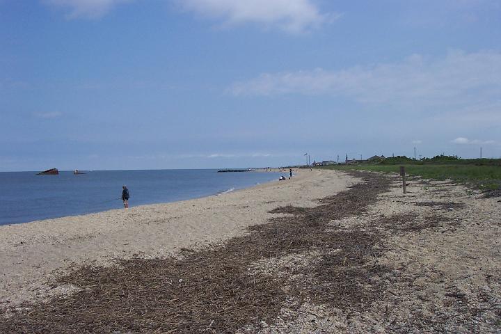 C_M 043.jpg